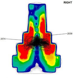Satteldruckmessung Kopfsteinpflaster Ergebnis der Satteldruckmessung auf einer Kopfsteinpflasterpassage.