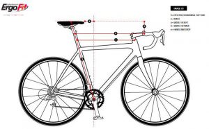 ErgoFit Bild_cropped