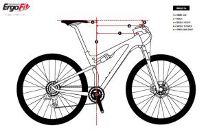 The Science of Bike Fitting DE