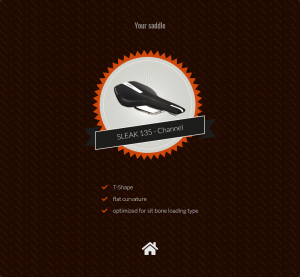 Screenshot_2020-03-24 Saddle Selector_en03